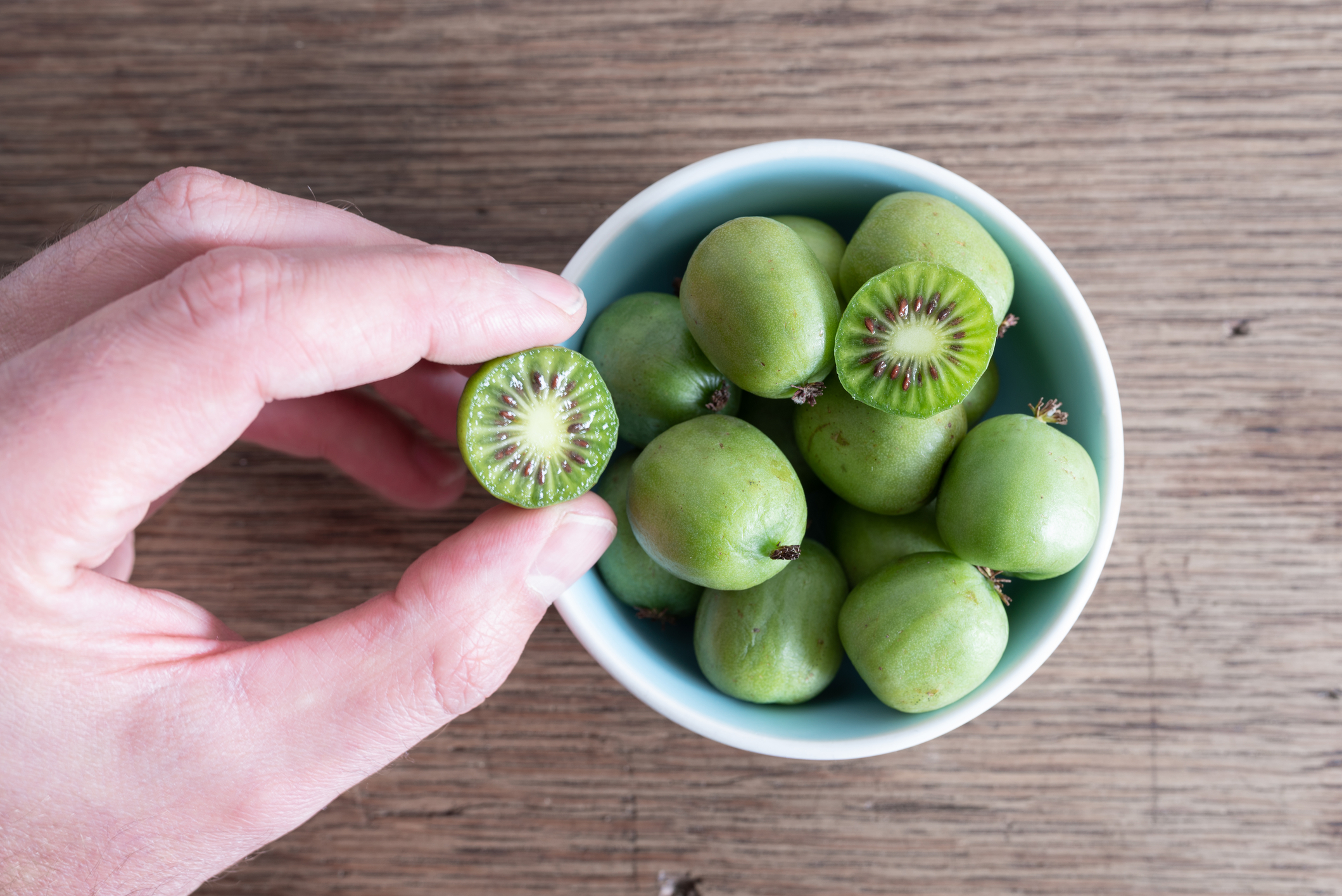 Did you know you can grow these kiwis in your New Jersey garden?