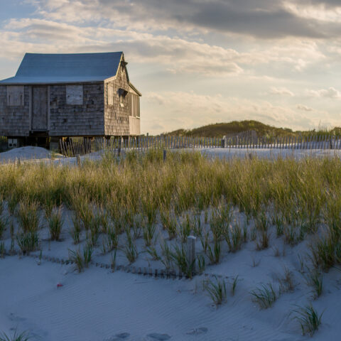Exploring island beach state park, new jersey's hidden gem at the shore - photo licensed by shore news network.