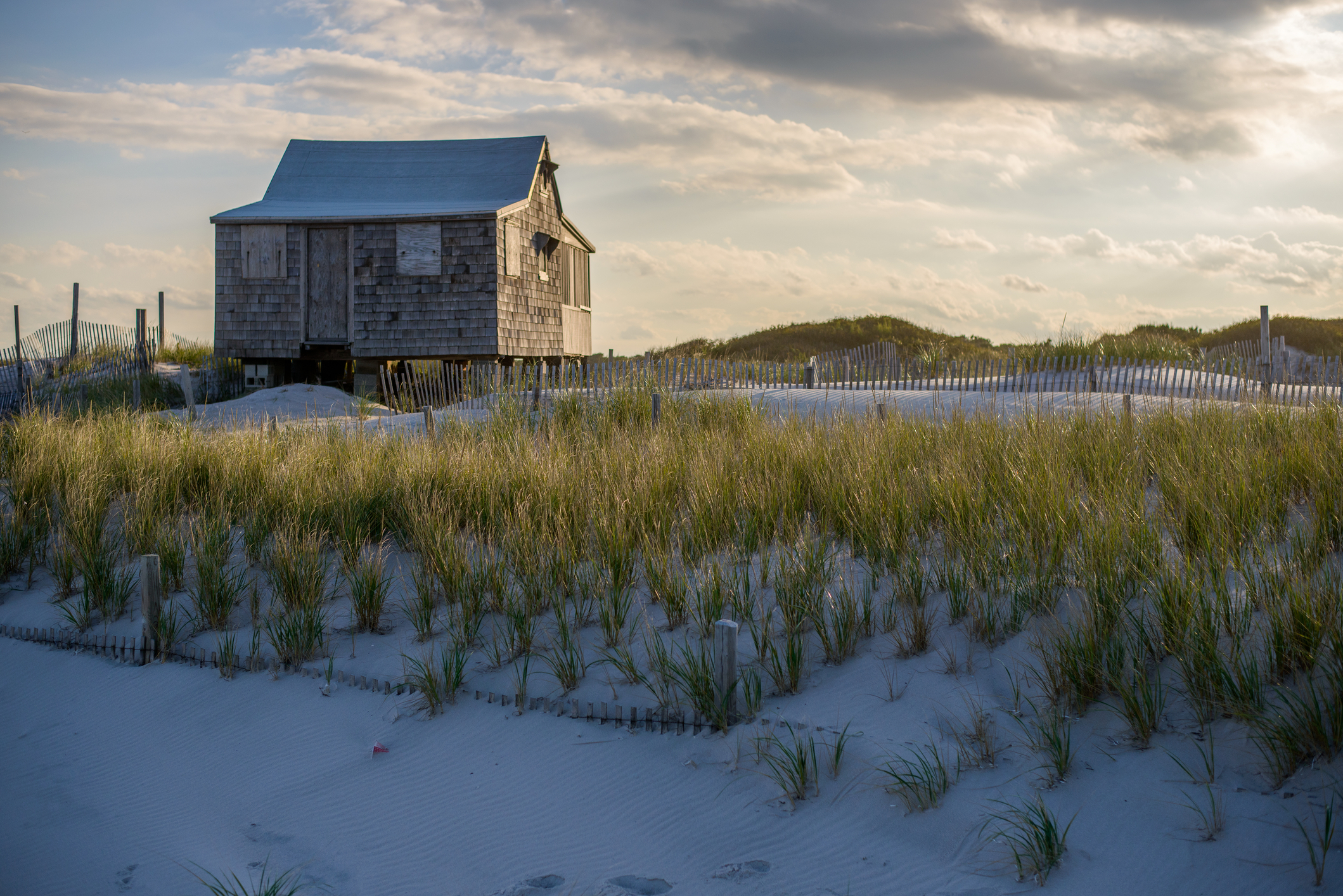 Exploring Island Beach State Park, New Jersey's Hidden Gem at the Shore