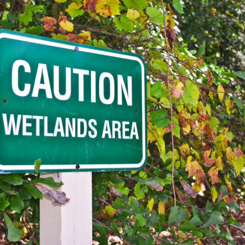 Holbrook couple charged for illegal dumping in protected wetland - photo licensed by shore news network.