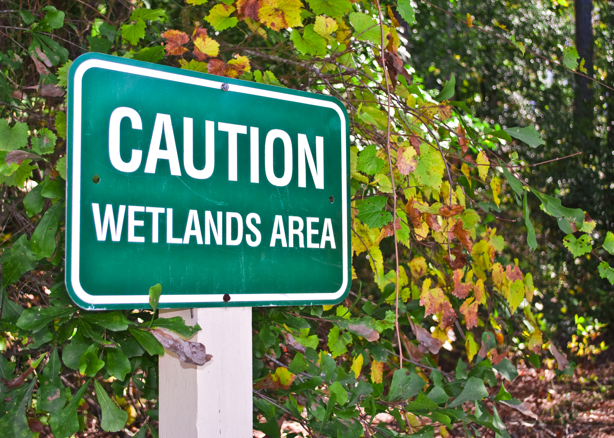 Holbrook Couple Charged for Illegal Dumping in Protected Wetland