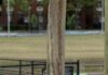 13-year-old shot at staten island playground friday, died at hospital