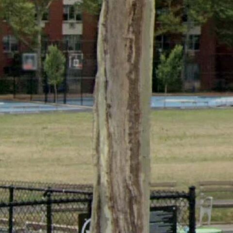 13-year-old shot at staten island playground friday, died at hospital - photo licensed by shore news network.