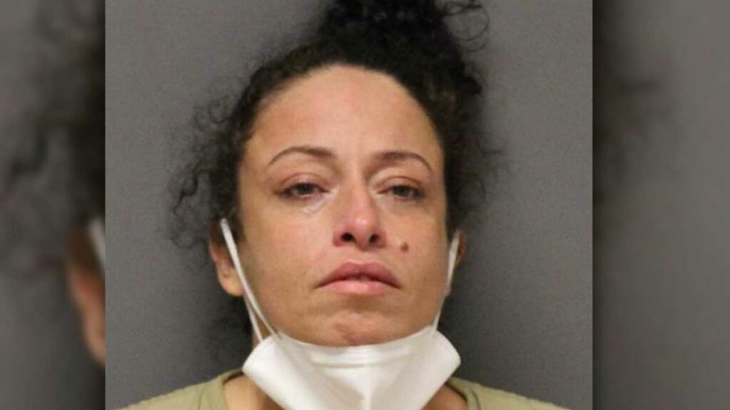Toms River woman pleads guilty to deadly stabbing of ex-boyfriend