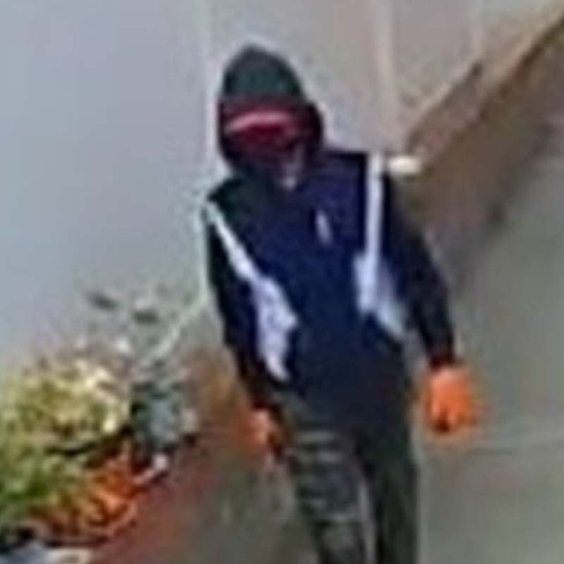 NYPD says serial burglar targeting homes in Bayside section of Queens
