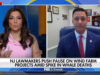 New jersey lawmaker talks wind farms, whale deaths on fox and friends