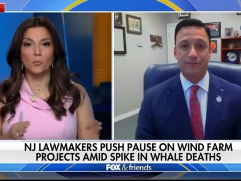 New Jersey lawmaker talks wind farms, whale deaths on Fox and Friends