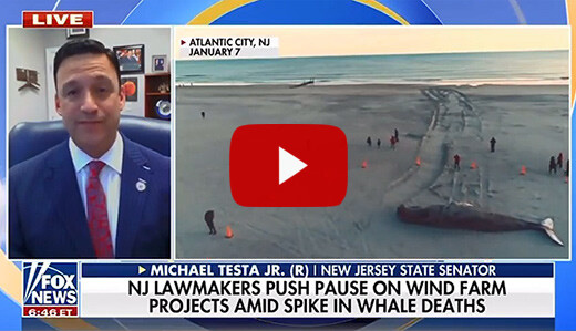 VIDEO: Testa Talks About Wind Farm Concerns & Whale Deaths on Fox & Friends