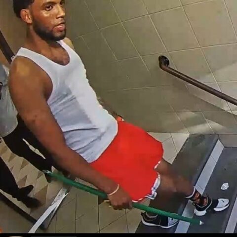 Suspect wanted for attack and roberry inside bronx apartment building - photo licensed by shore news network.