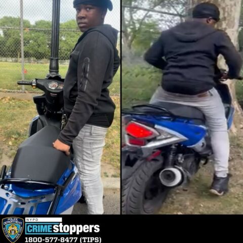 Harlem hit and run suspect leaves 6-year-old in critical condition - photo licensed by shore news network.