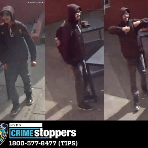 Suspect sought after swastikas painted on queens public library wall - photo licensed by shore news network.