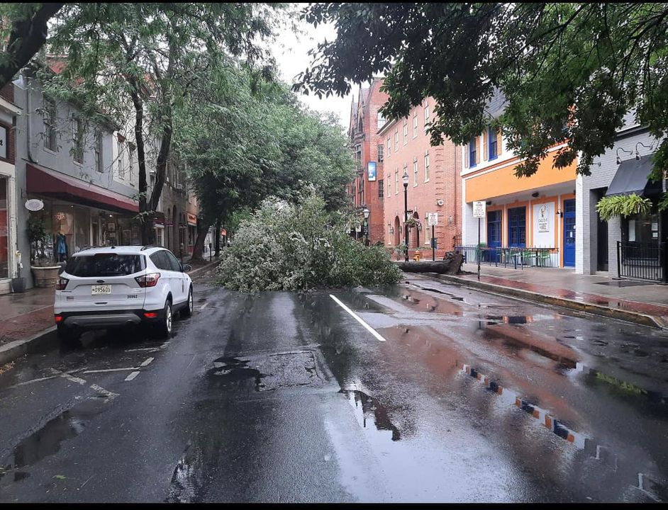 Passing storm downs tree in Fredrick, causing road closure