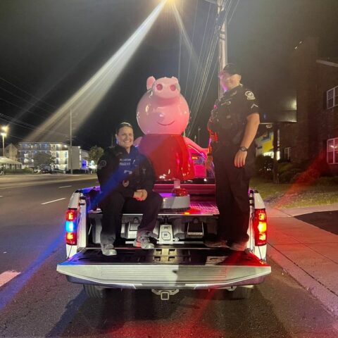 Ocean city police rescue kidnapped candy store pig - photo licensed by shore news network.