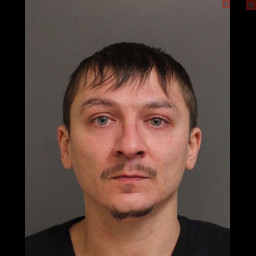 Man Sentenced to Maximum Penalty for Freezing Dog Man Sentenced to Maximum Penalty for Freezing Dog