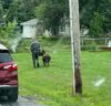 State trooper saves the day in missing donkey case