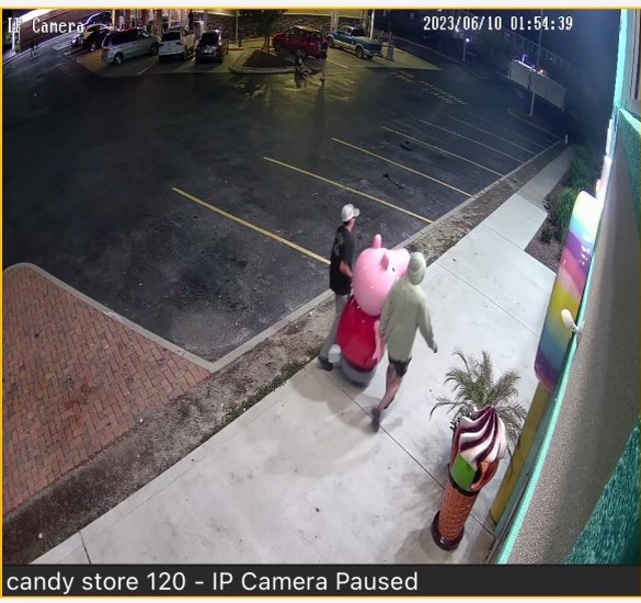 Ocean City police rescue kidnapped candy store pig Ocean City police rescue kidnapped candy store pig