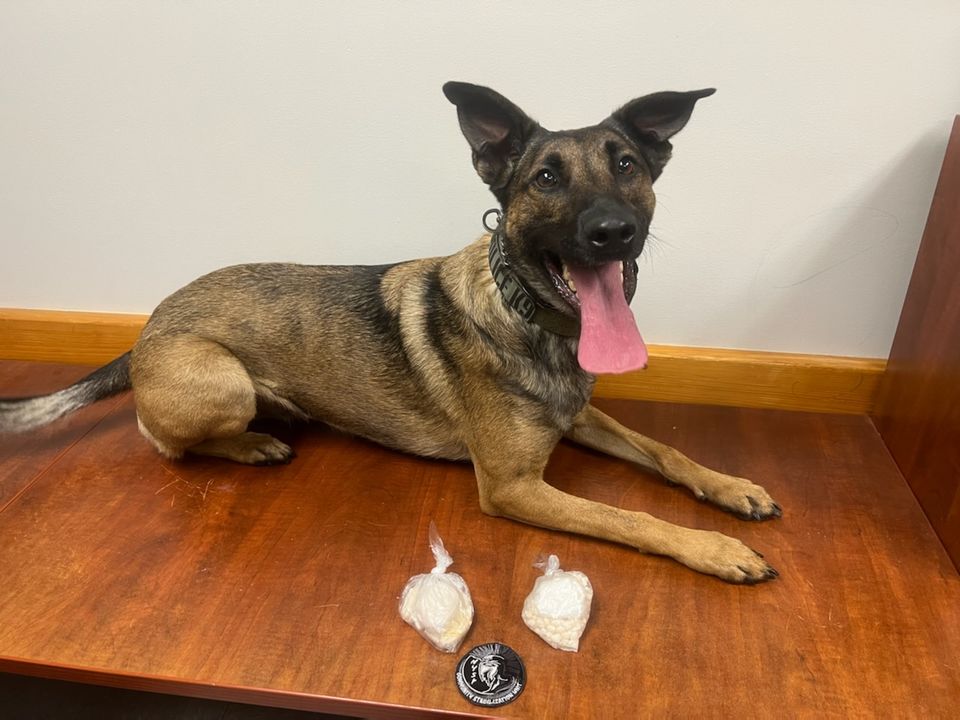 K-9 cop recognized for recent drug bust
