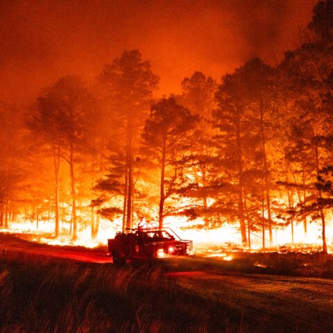 Popular new jersey campground evacuated as forest fire threatens area - photo licensed by shore news network.