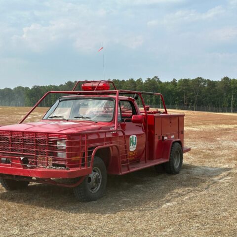Glory fire will continue to smolder until next rain, forest fire service - photo licensed by shore news network.