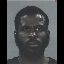 Man Arrested for Lewd Conduct in Doylestown Borough Man Arrested for Lewd Conduct in Doylestown Borough