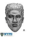 Nypd releases sketch of prospect park rapist