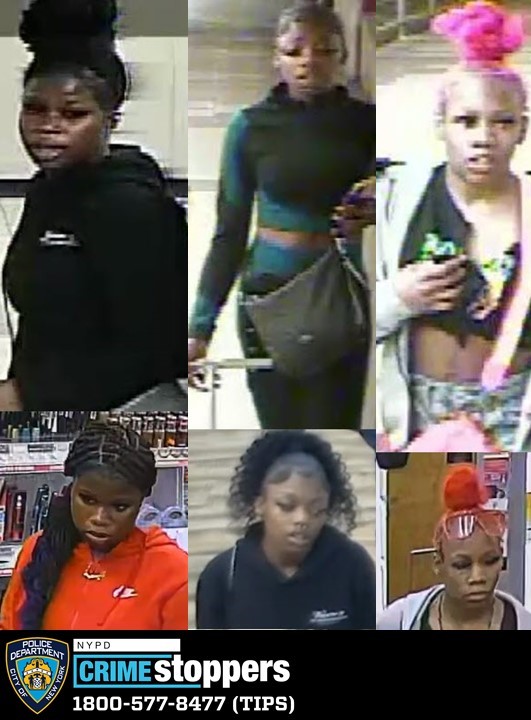 Women sought in brutal assault and robbery aboard Brooklyn subway train Women sought in brutal assault and robbery aboard Brooklyn subway train