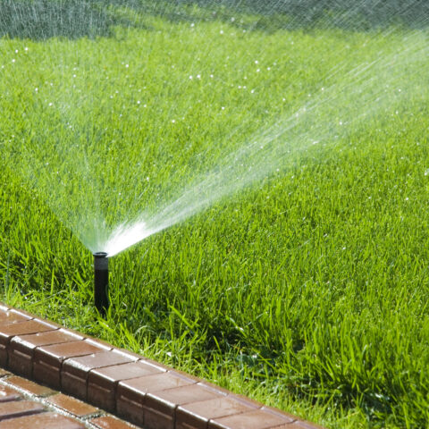 New jersey lawmakers to require rain sensors on lawn sprinkler systems - photo licensed by shore news network.