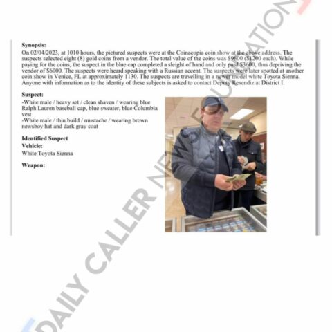 Exclusive: romanians are flooding the border at record numbers and committing fraud across the us - photo licensed by shore news network.