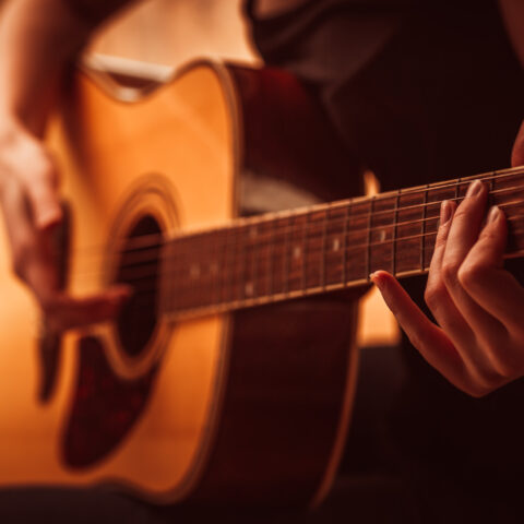 John mcdermott band's sixties rock & roll revue to light up pioneer park this summer - photo licensed by shore news network.