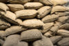 Stone harbor host of sand bag challenge this weekend