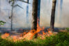 Jackson fire contained, so why is there thick smoke in the air still?