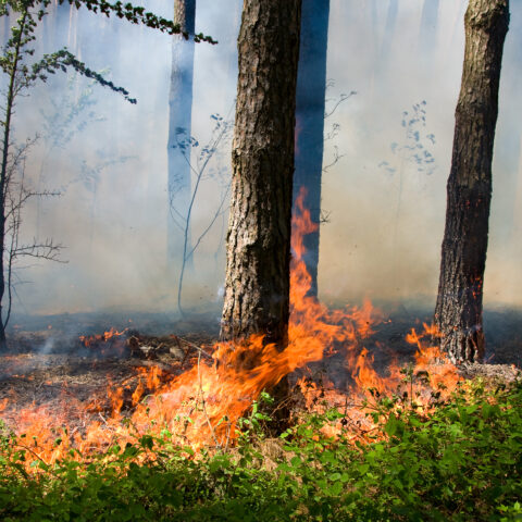 Jackson fire contained, so why is there thick smoke in the air still? - photo licensed by shore news network.