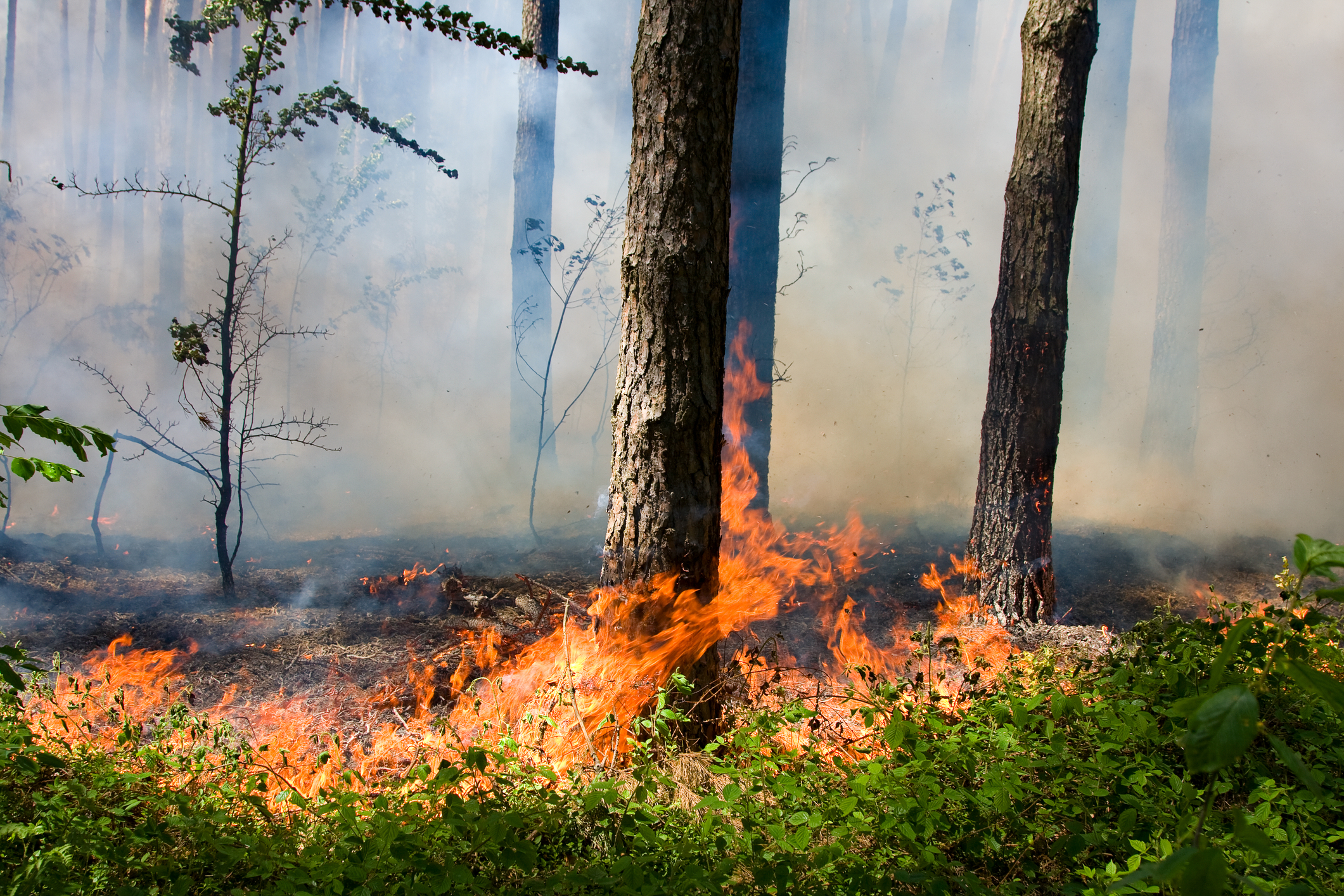 Jackson fire contained, so why is there thick smoke in the air still?