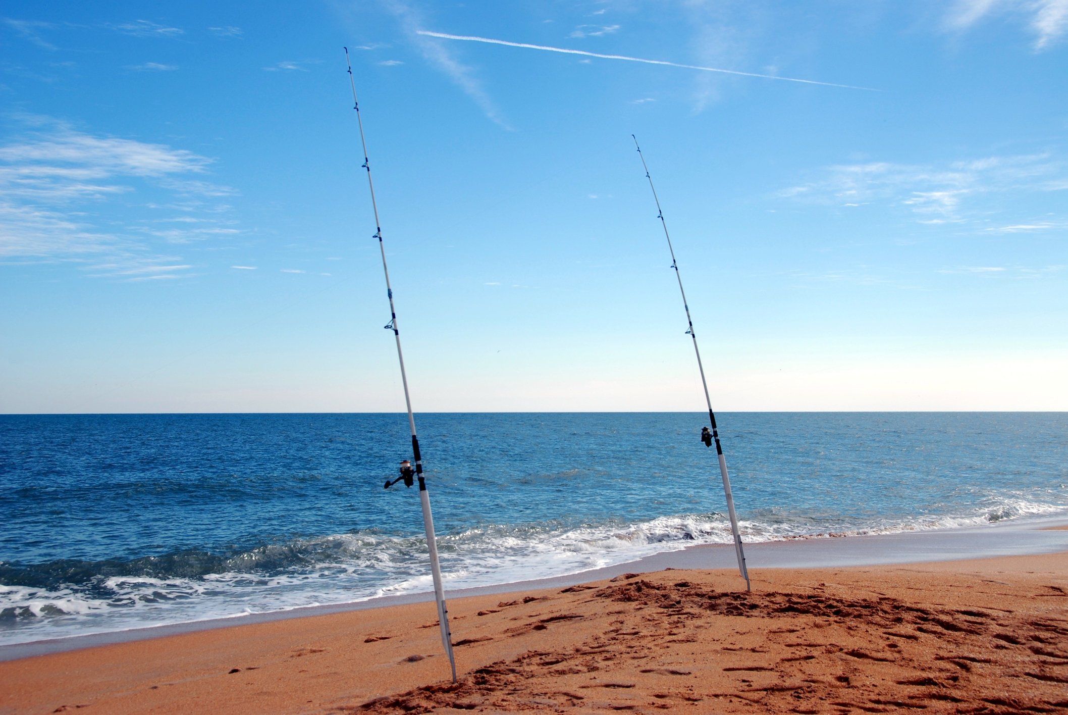 New Jersey striped bass limit far exceeds federal emergency limit