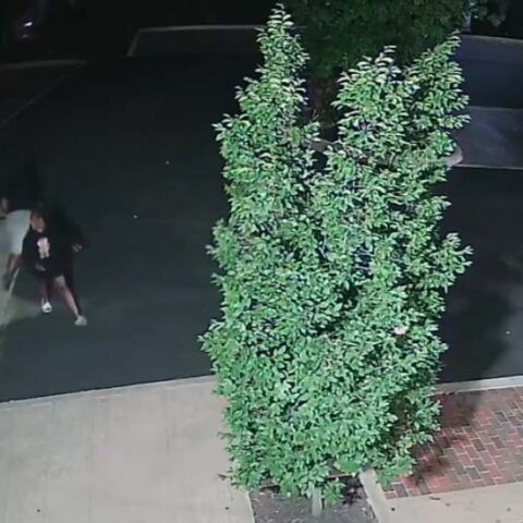 Man found dead near dumpster outside columbus business - photo licensed by shore news network.