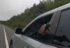 New york state trooper shot during routine traffic stop
