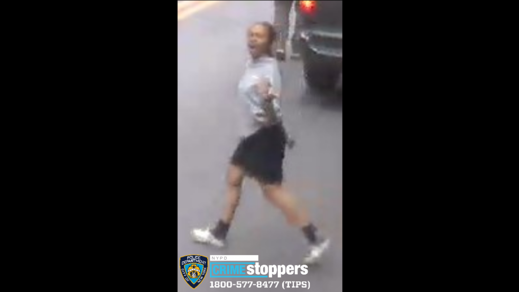 13-year-Old Assaulted and Robbed in the Bronx 13-year-Old Assaulted and Robbed in the Bronx