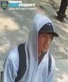 Woman fights back against broad daylight rape attempt in queens, flees