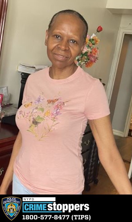 Police Seek Missing Woman Last Seen At Canal Street Subway Station