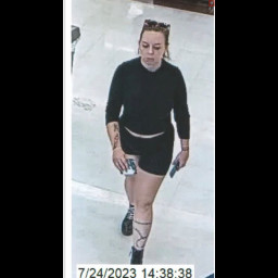 Woman Broke Into Locked Car at Planet Fitness to Steal Purse Woman Broke Into Locked Car at Planet Fitness to Steal Purse
