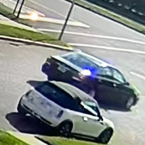 Dog struck and killed in deal, driver sought - photo licensed by shore news network.