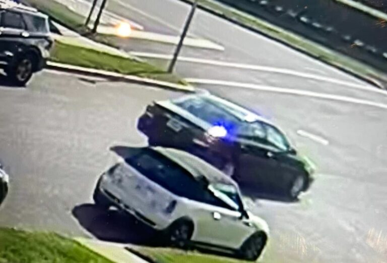 Dog struck and killed in deal, driver sought - photo licensed by shore news network.