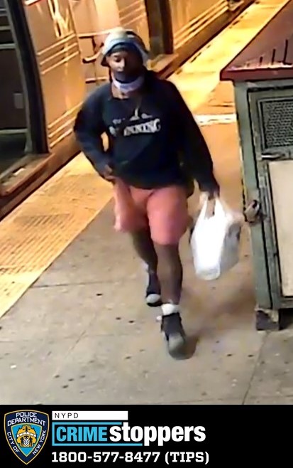 65-Year-Old Woman Attacked, Punched in Face on NYC Subway Train 65-Year-Old Woman Attacked, Punched in Face on NYC Subway Train