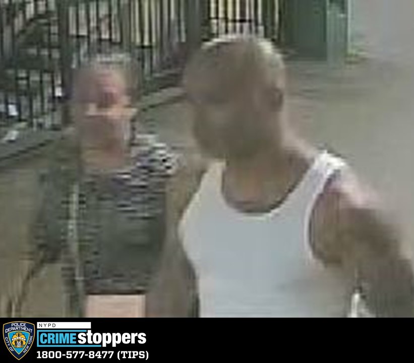 Woman Assaulted As She Was Exiting Subway Train in the Bronx Woman Assaulted As She Was Exiting Subway Train in the Bronx