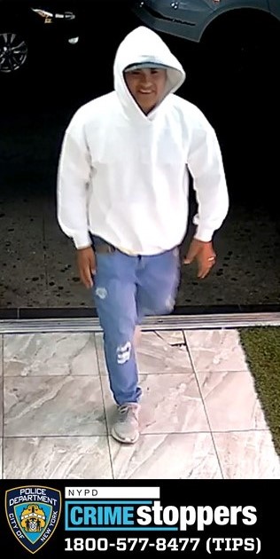 Wallet Thief Wanted for Grand Larceny After Using Stolen Credit Cards Wallet Thief Wanted for Grand Larceny After Using Stolen Credit Cards