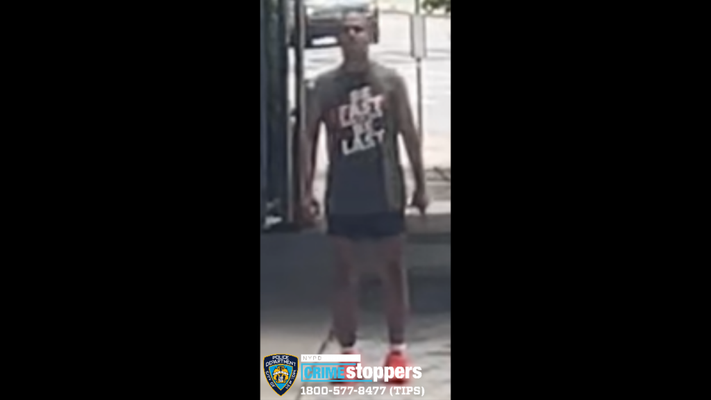 Woman Groped While Walking Her Dog Near Fort Hamilton Woman Groped While Walking Her Dog Near Fort Hamilton