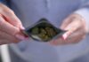Massive study links heavy marijuana use to psychotic symptoms, bipolar disorder, depression