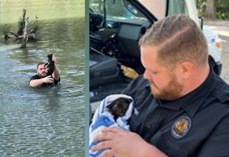Animal Cop Jumps Into Water to Save Kitten