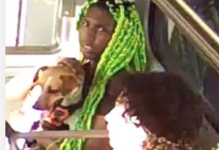 Police trying to sniff out bayonne dog nappers - photo licensed by shore news network.