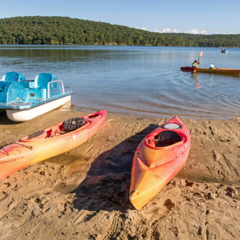 Mild breezy day on tap for upstate new york - photo licensed by shore news network.